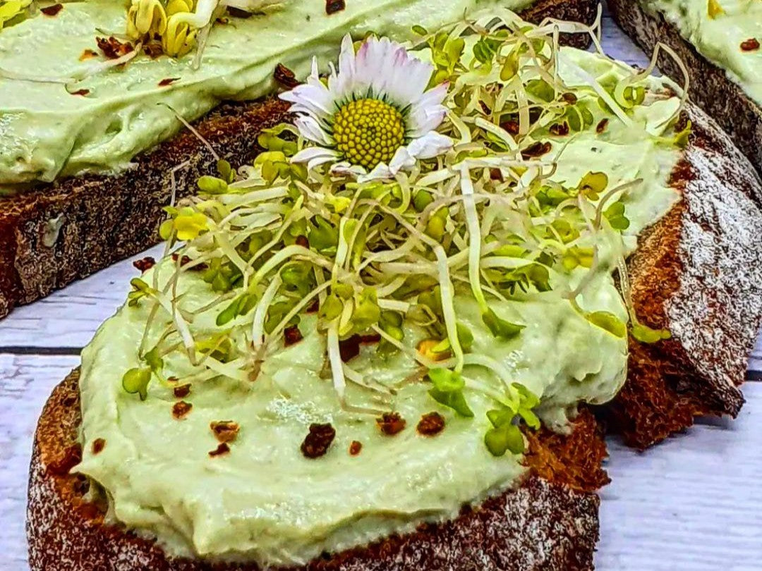 Avocado Creme mit Sprossen aus dem Nutri-Blender Max
