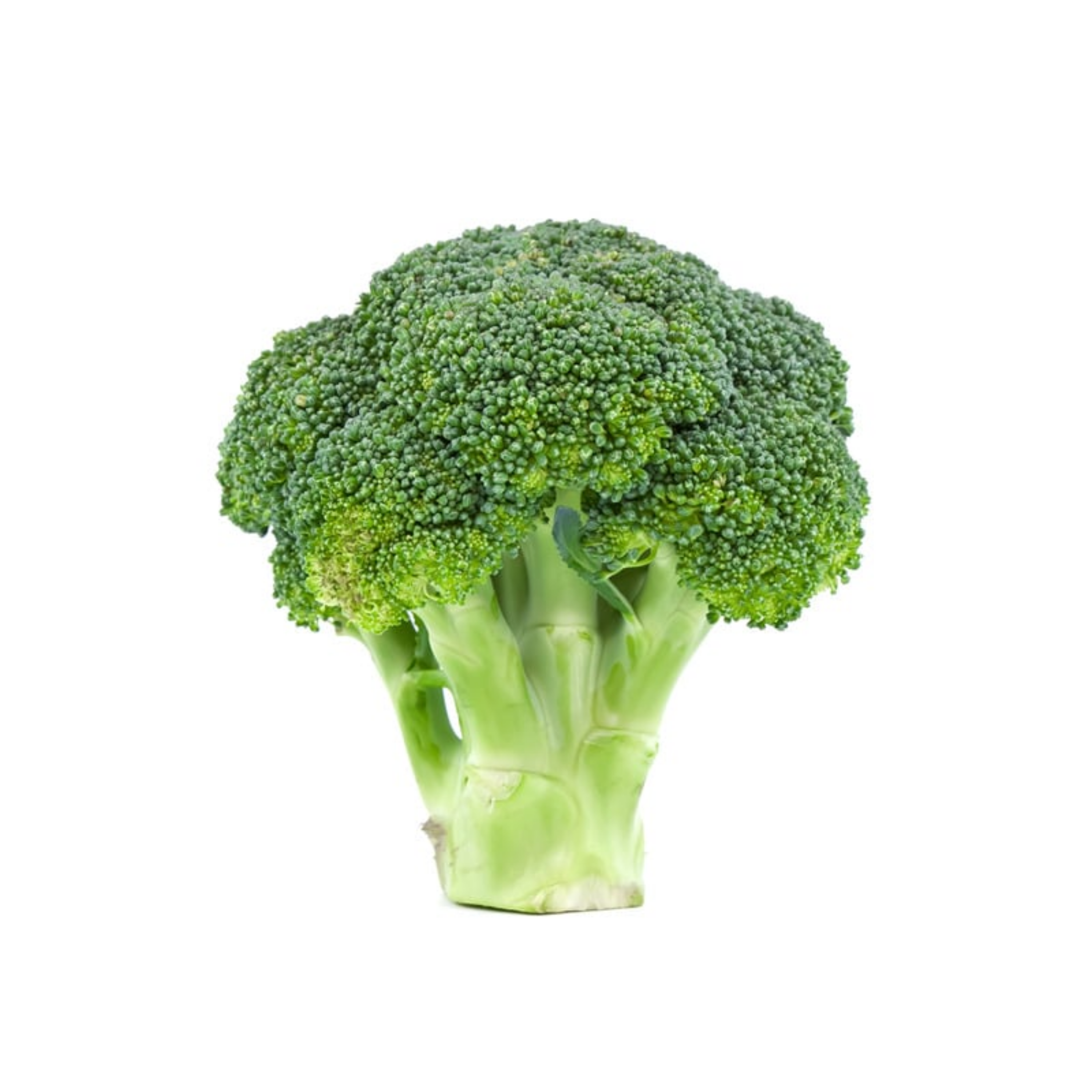 Brokkoli – das grüne Supergemüse für jeden Tag