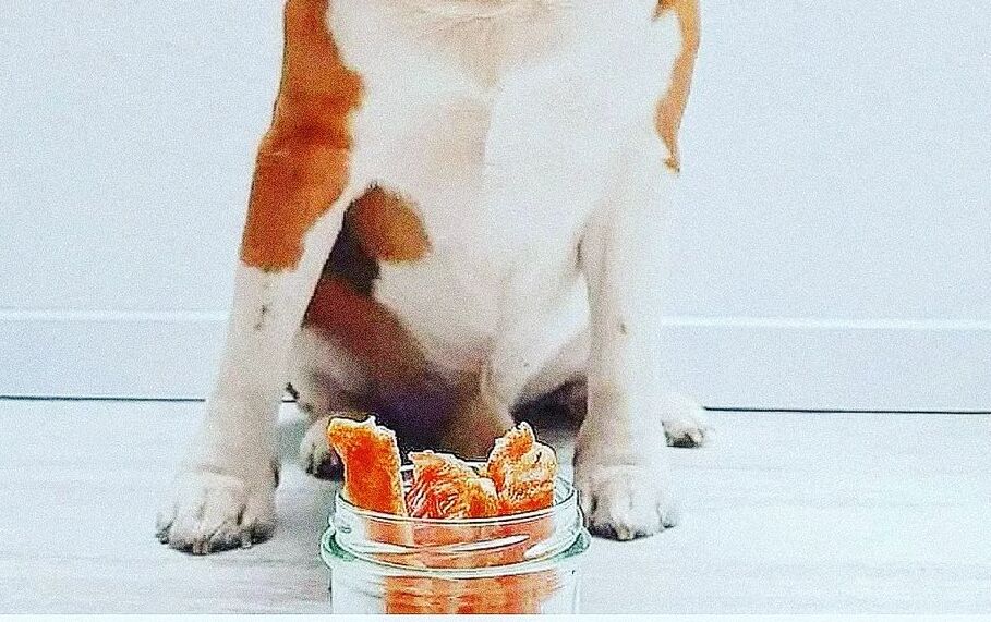 Gesundes fĂŒr deinen Vierbeiner! leckeren HĂ€hnchensnack fĂŒr ihren Vierbeiner