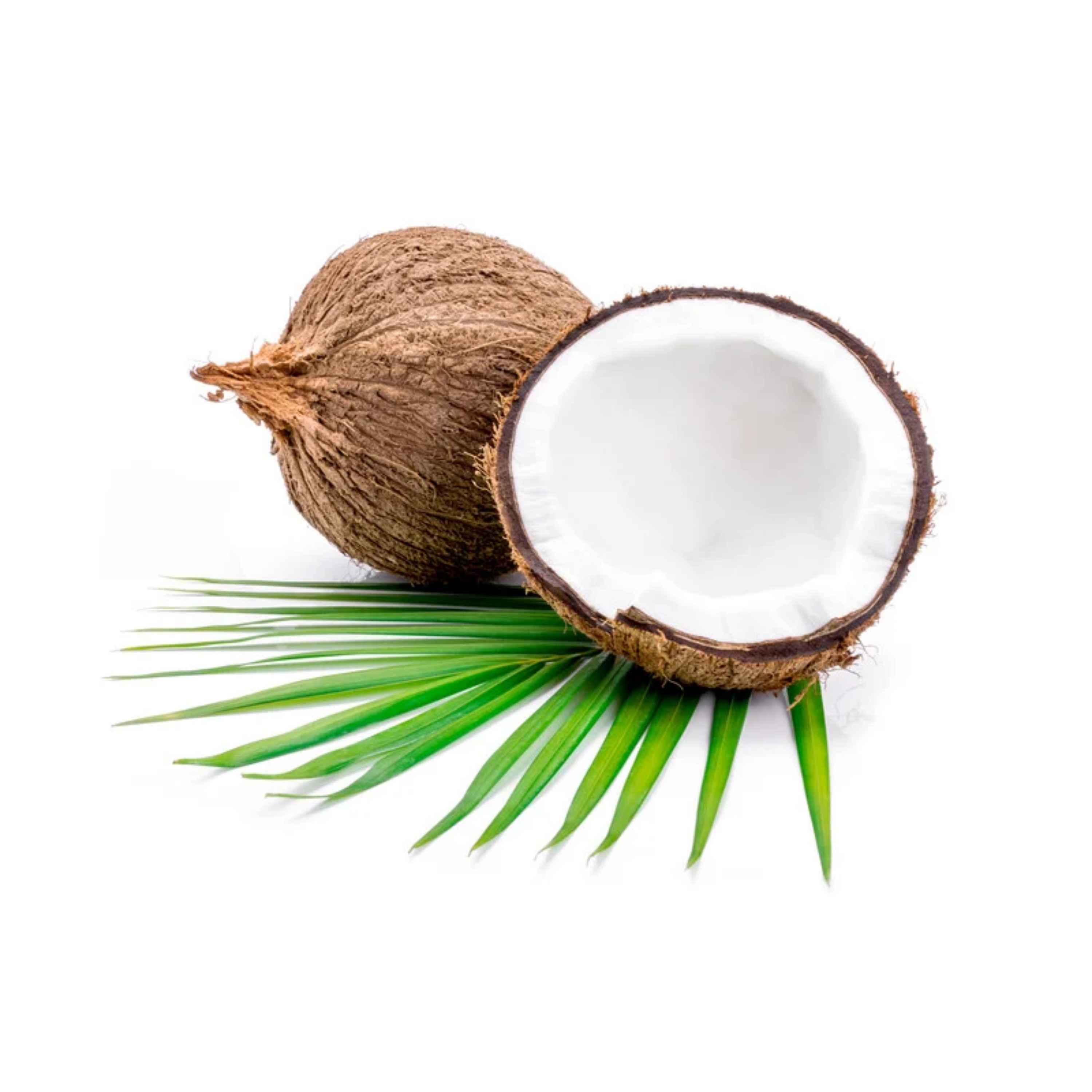 Kokosnuss: Dein exotischer Energiespender aus den Tropen