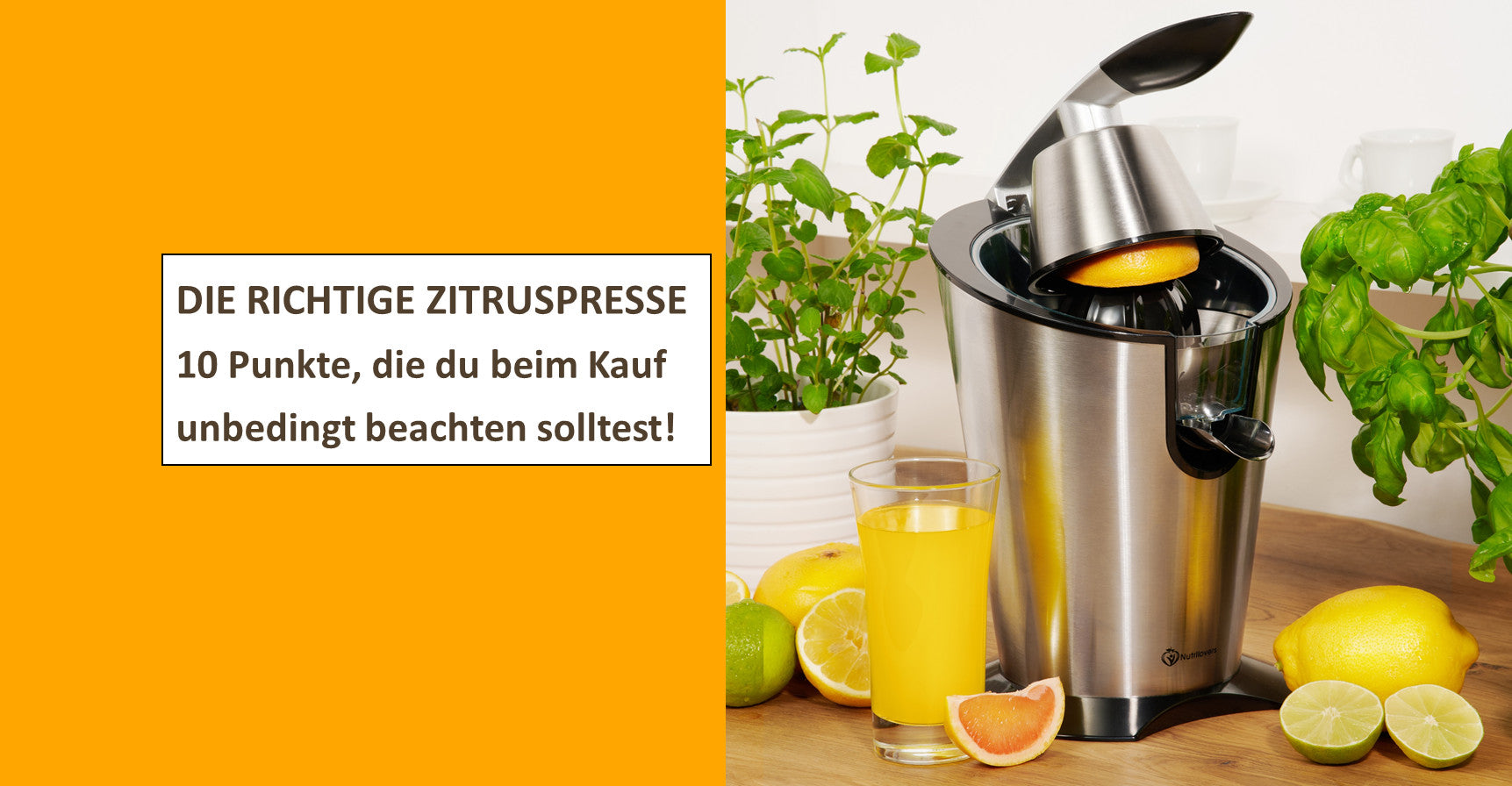 Zitruspress, nutrilovers, Die richtige Zitruspresse - 10 Punkte, die du beim Kauf unbedingt beachten solltest!