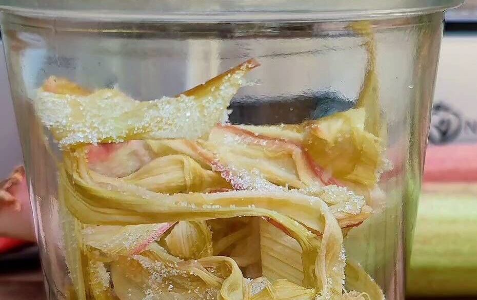 Erfrischende Zitronencreme Rhabarber-Candy vom #Dörrautomaten