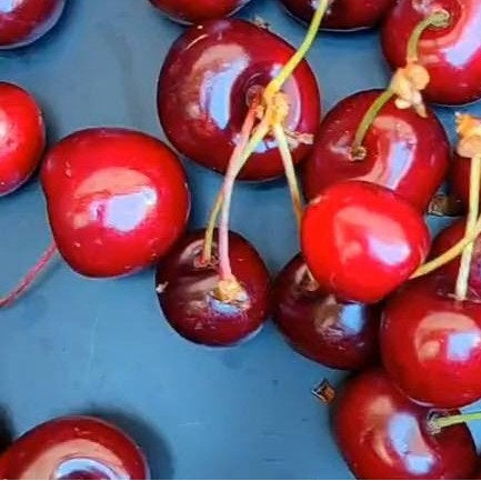 Sommerliches Kirsch-Crumble aus der #Heißluftfritteuse Ganz einfach und schnell zubereitet in deiner NUTRI-FRYER Heißluftfritteuse.