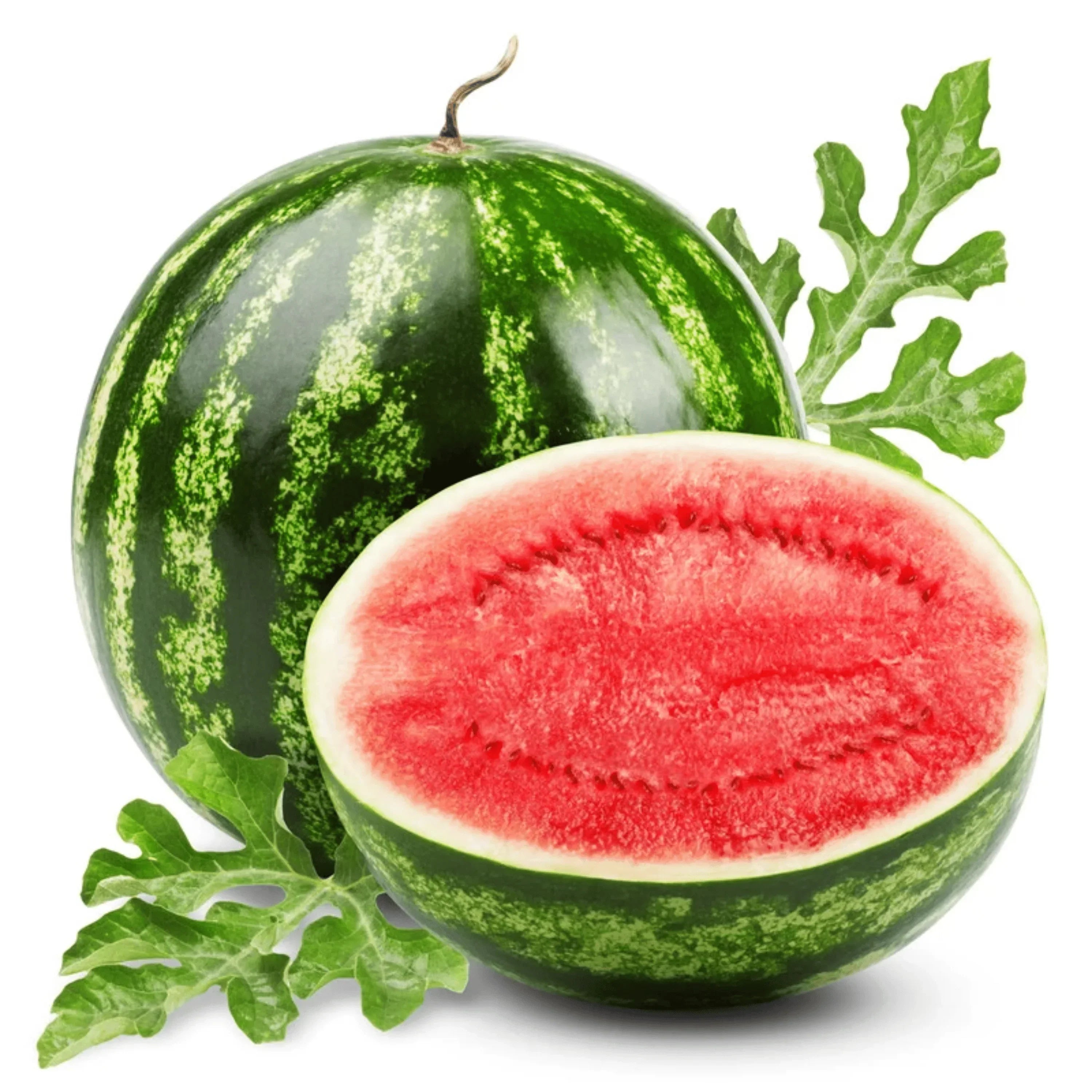 Wassermelone: Der rote Sommer-Snack zum Trinken