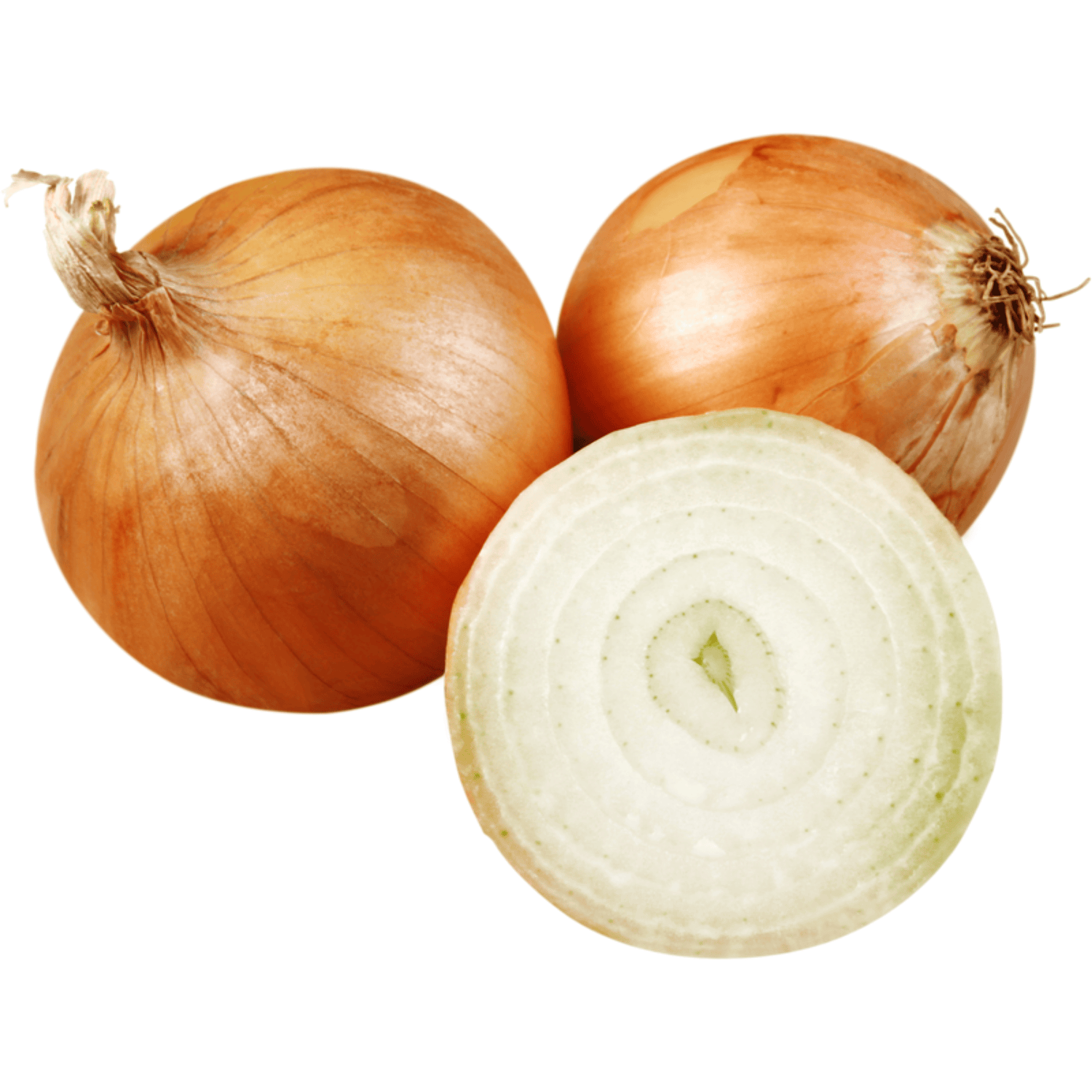Zwiebel: Die scharfe Knolle für Gesundheit & Geschmack