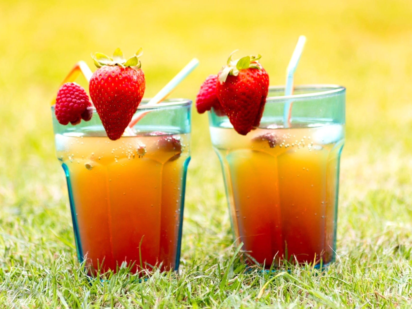 SONNENSCHEIN Beta-Carotin, Antioxidantien und Kalium für ein gesundes Wachstum