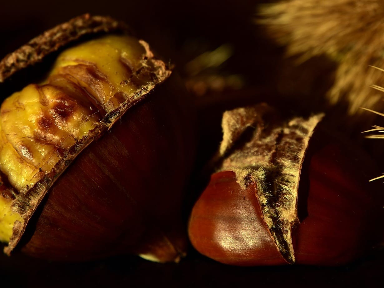 Köstliche Maronen aus dem NUTRI-FRYER!