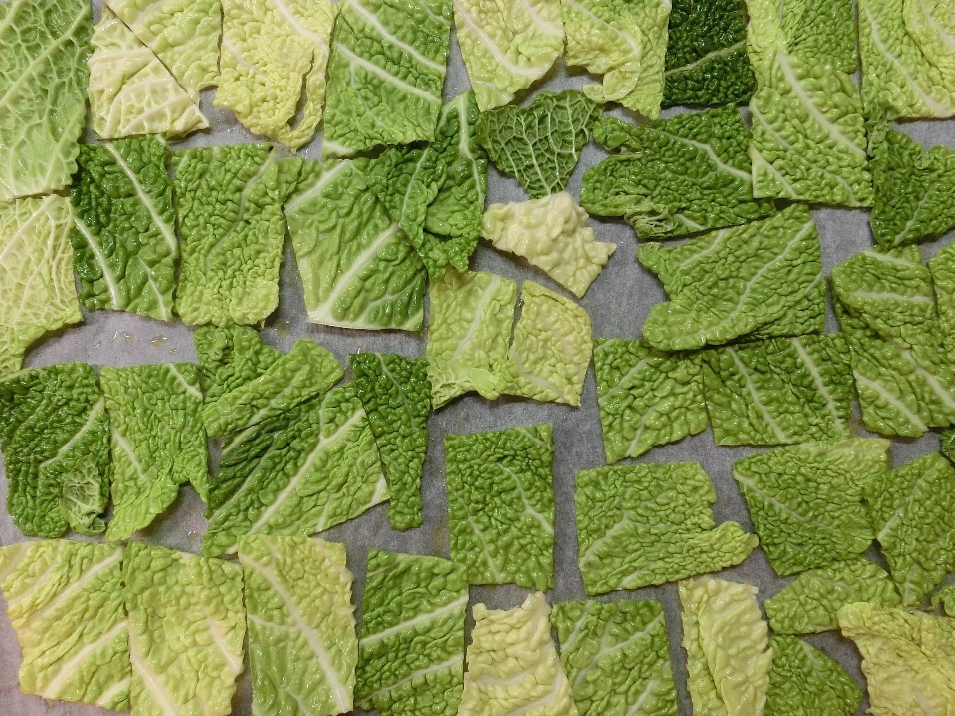 Heißluftfritteuse Rezepte Dörrautomat Rezepte Die knusprigen Chips aus grünem Blattgemüse