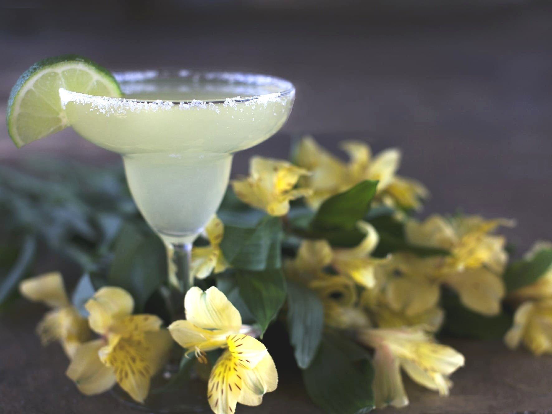 Zitruspresse Rezepte MEXICAN DREAM Virgin Margarita