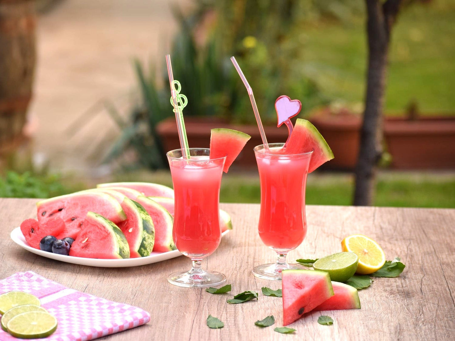 MELON DREAM Wassermelonen-Limo Zitruspresse Rezepte