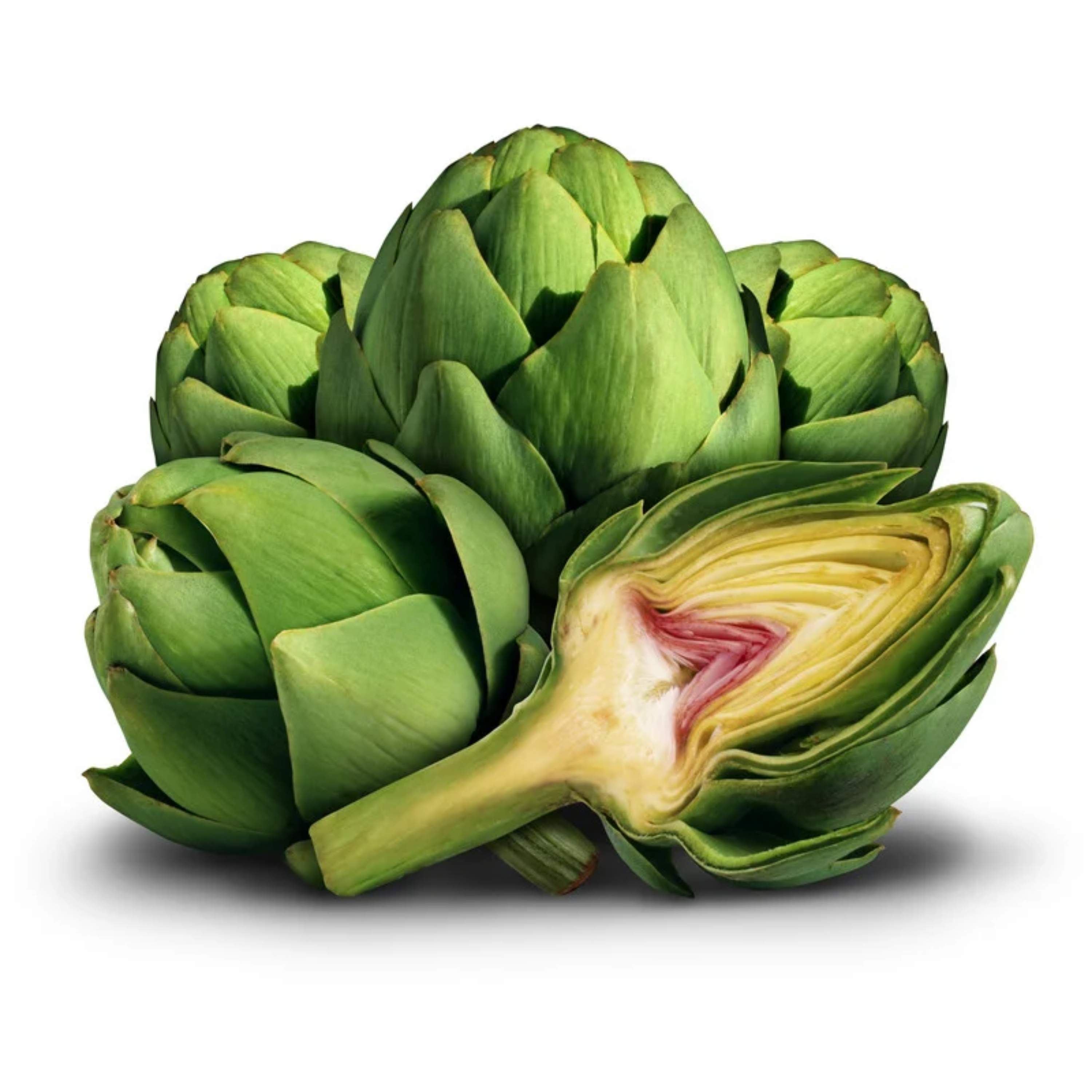 Artischocke – die mediterrane Detox-Pflanze für deine Verdauung & Leber