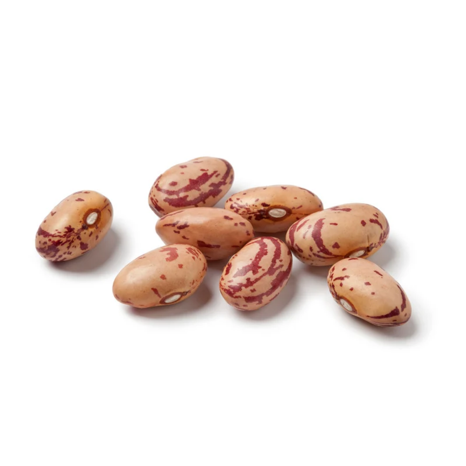 Bohnen – proteinreich, sättigend & perfekt für gesunde Küche