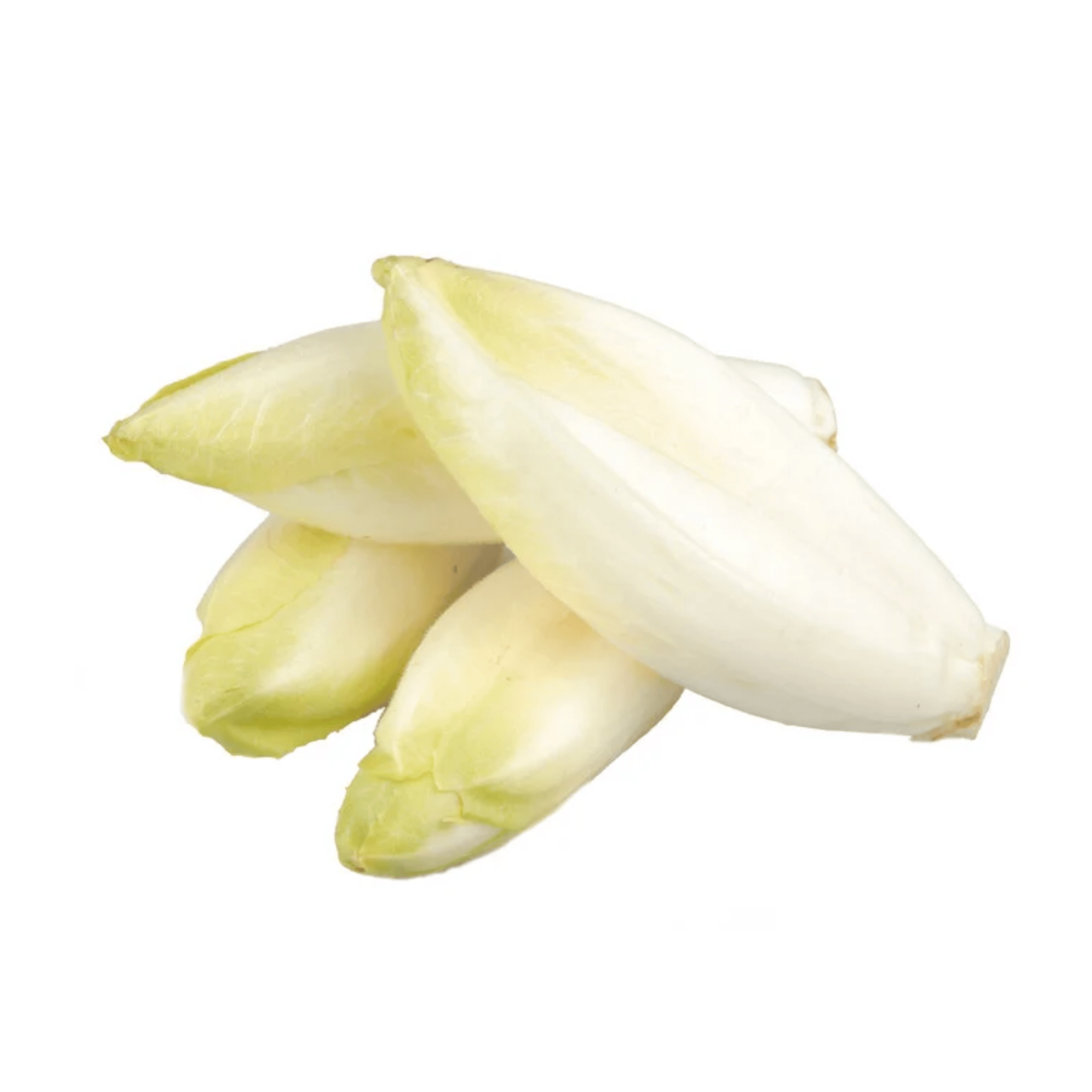 Endivie – bitter, basisch & perfekt für die moderne Küche