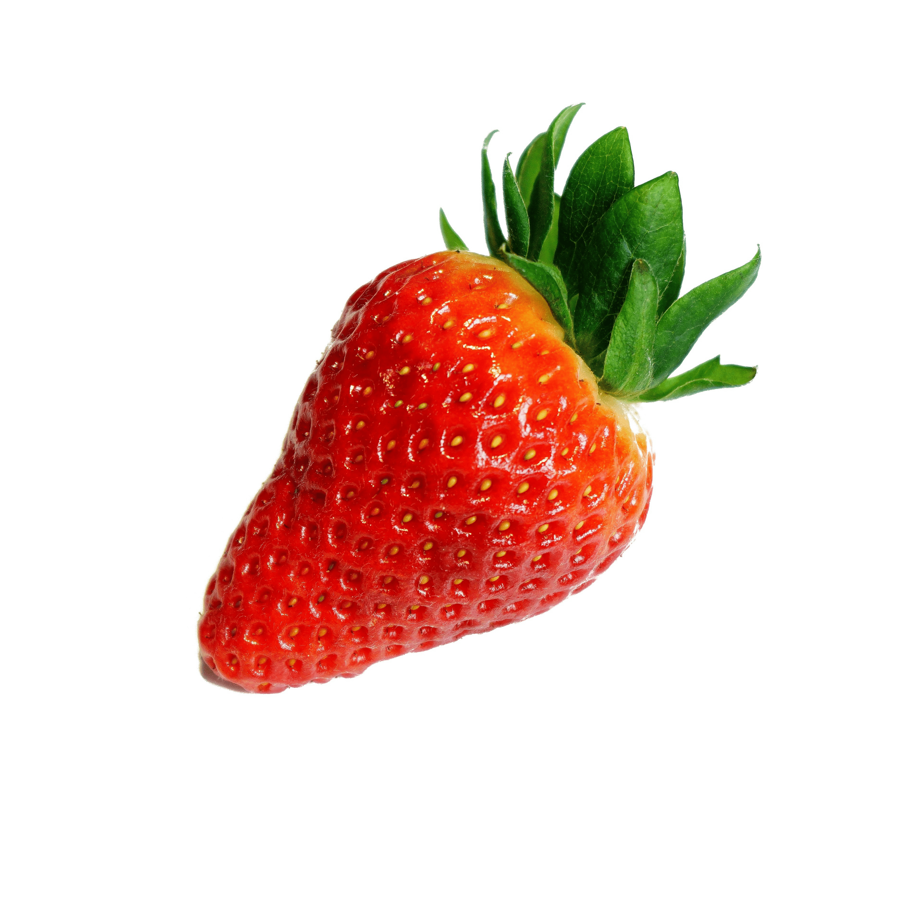 Erdbeeren – fruchtige Leichtigkeit für deine moderne Küche