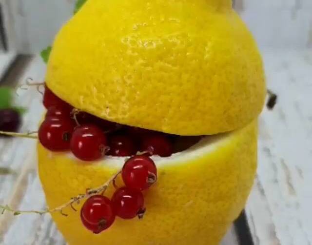 Erfrischende Zitronencreme  sommerlichen Dessert aus dem Nutri-Blender Max
