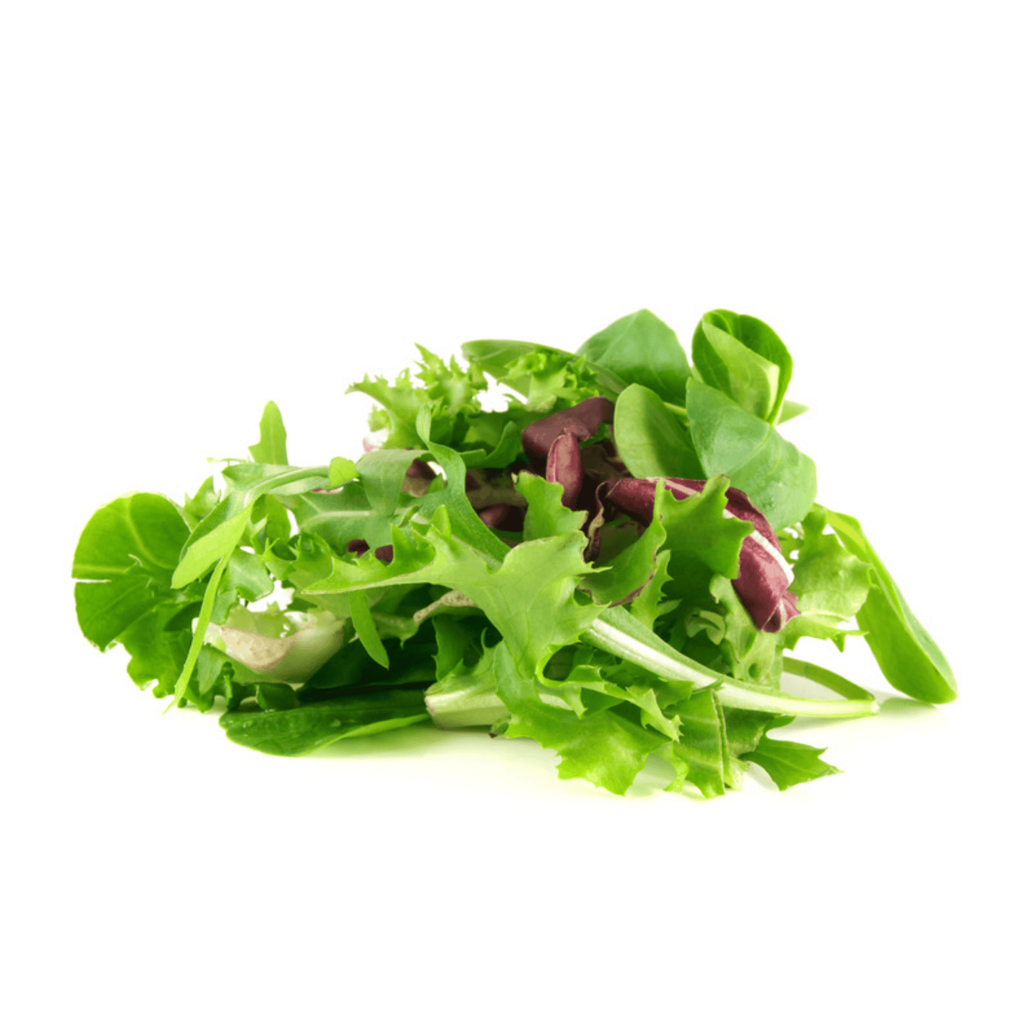 Feldsalat – winterfrisch, vitaminreich & ideal für die leichte Küche