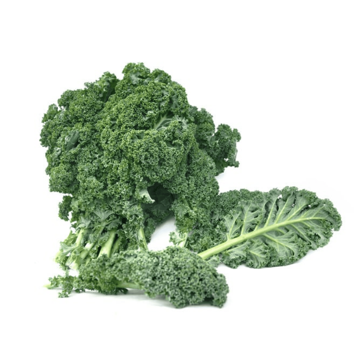 Grünkohl – heimisches Superfood für die Winterküche