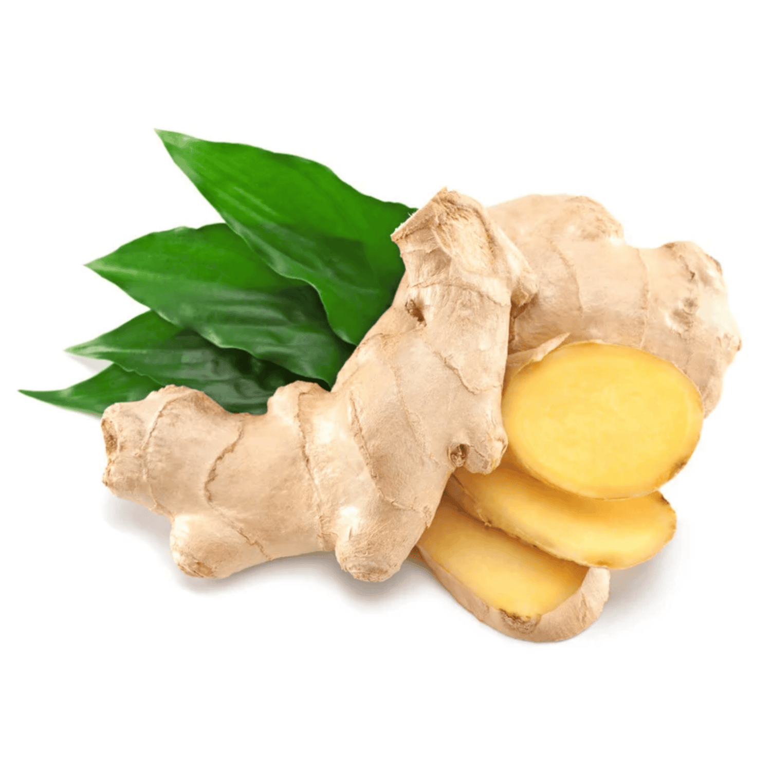 Ingwer – scharfe Wurzel mit starker Wirkung