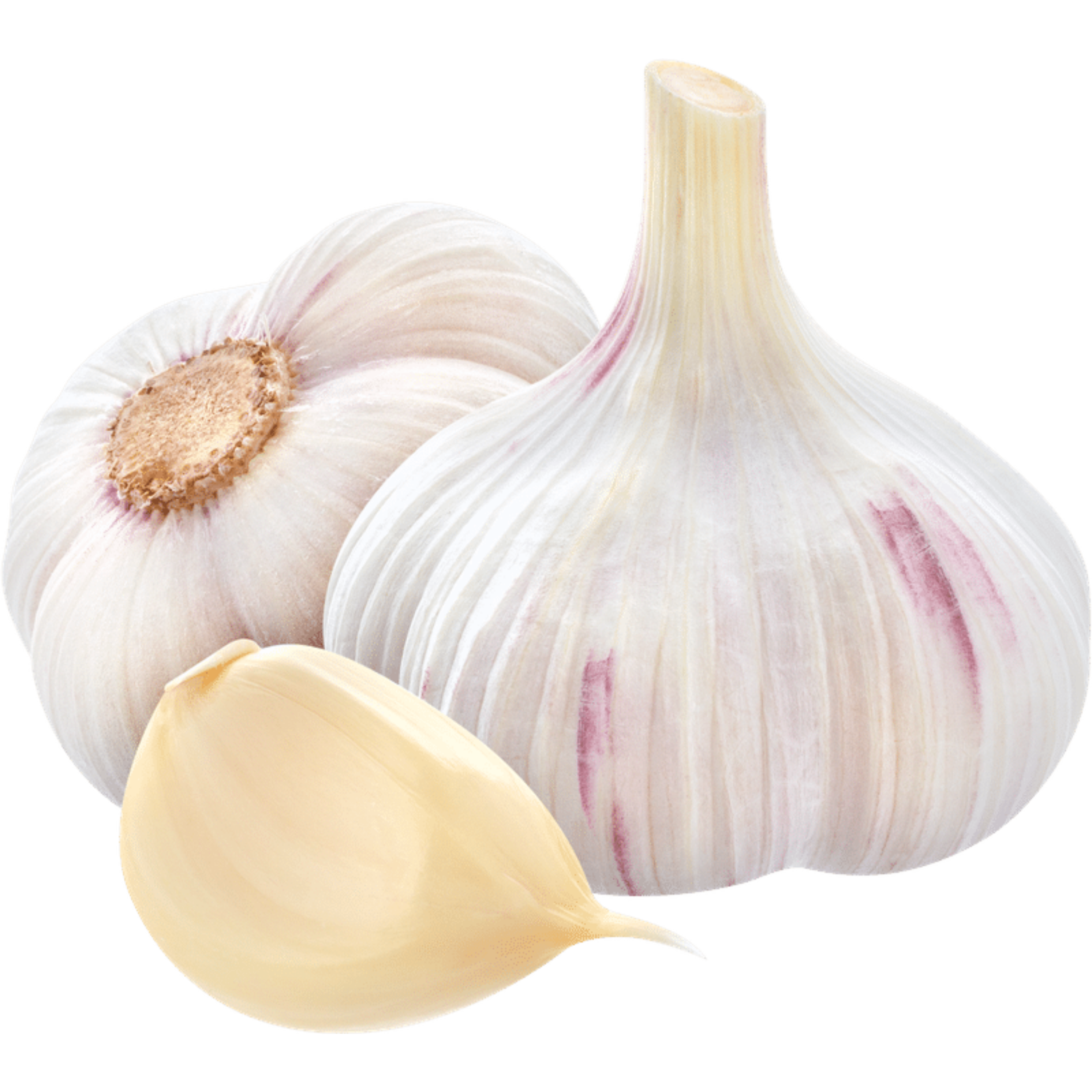 Knoblauch: Die würzige Wunderknolle für Herz und Abwehrkräfte
