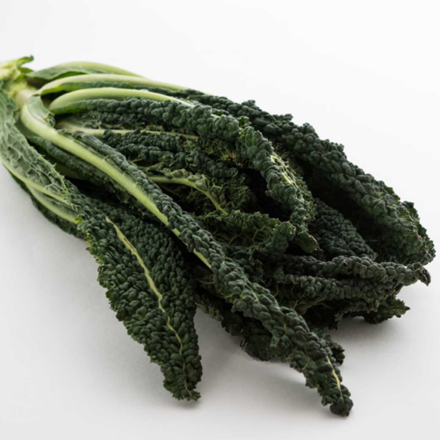 Palmkohl: Der elegante Winterkohl aus der Toskana