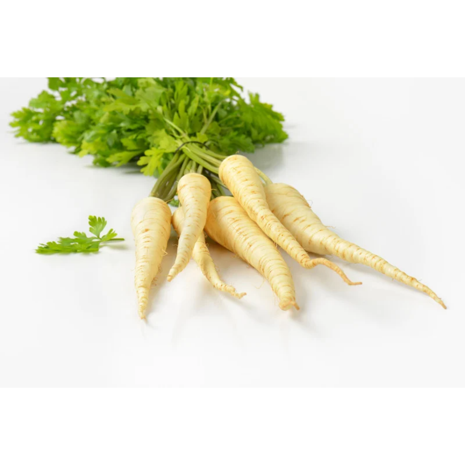 Petersilienwurzel: Der würzige Winterwärmer für deine Nieren