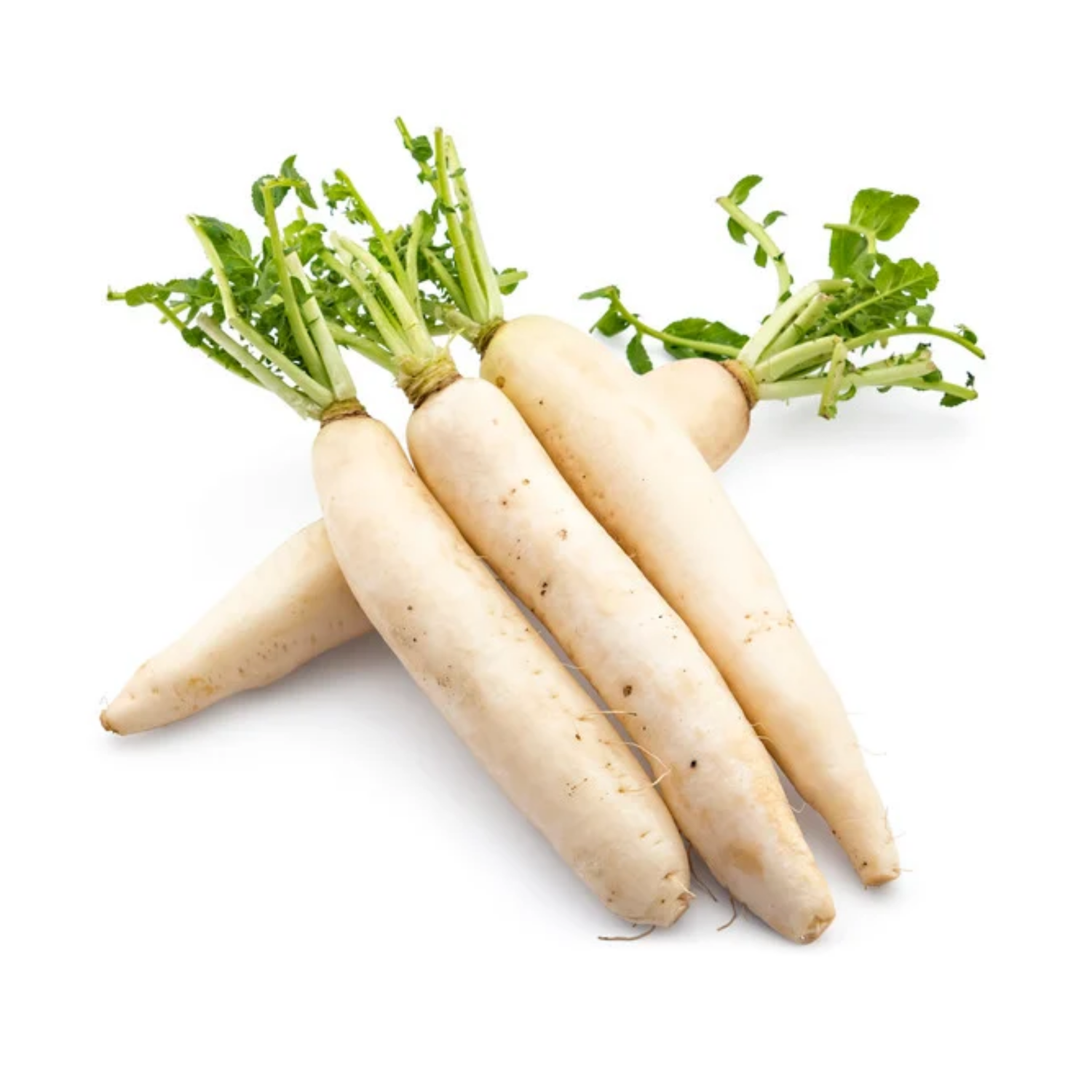 Rettich: Der weiße Riese für eine gesunde Verdauung und freie Atemwege