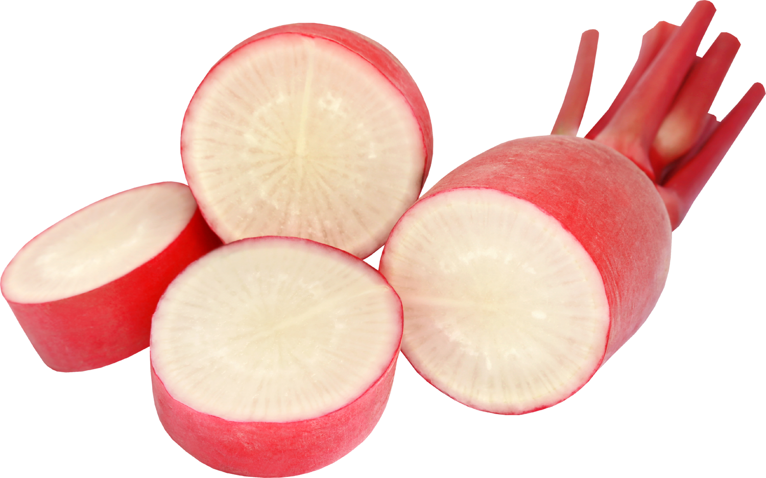 Roter Rettich: Der knackige Frühlingsbote mit Pepp