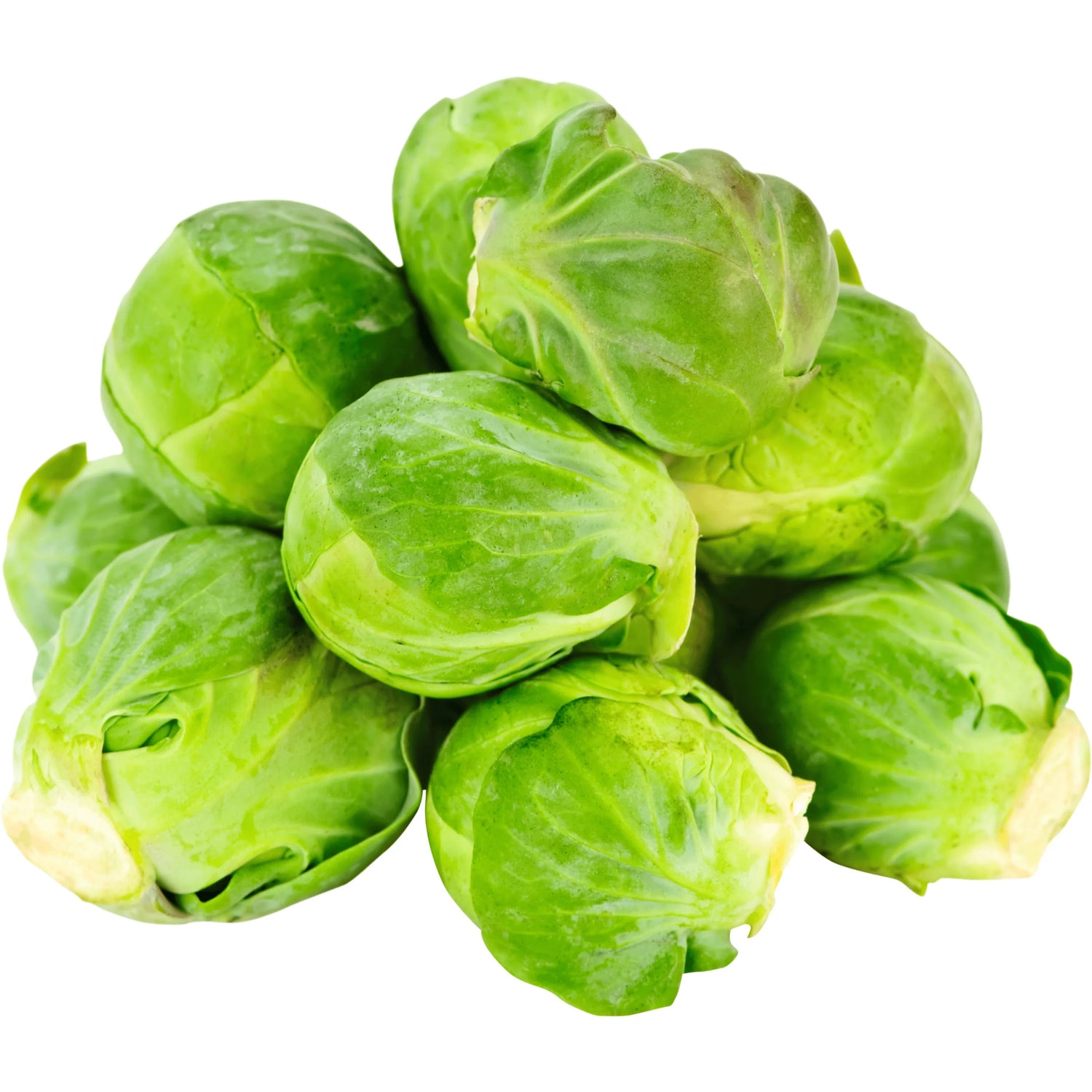 Rosenkohl: Die kleinen grünen Kraftpakete für den Winter