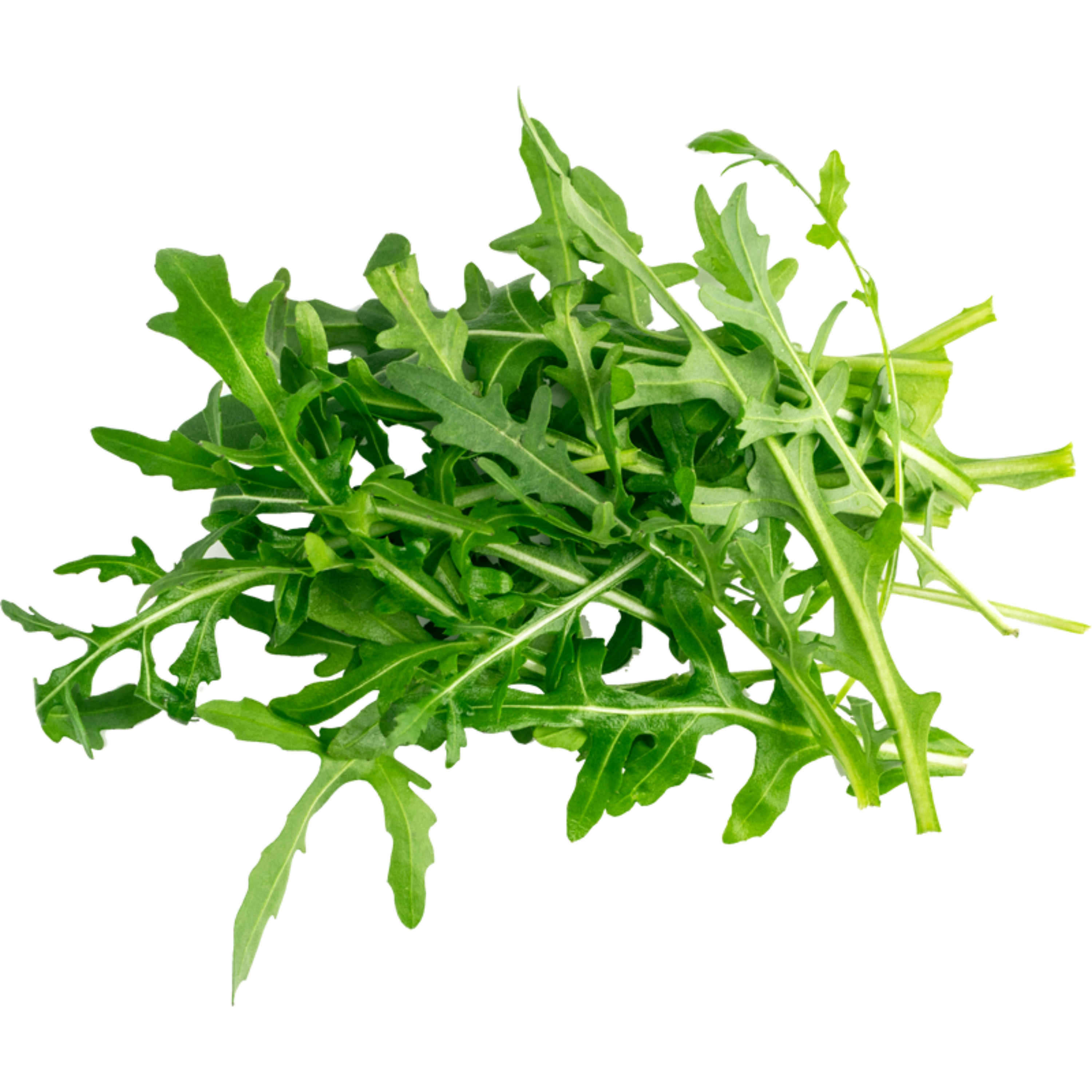 Rucola: Der pfeffrige Trendsetter für deine grüne Küche