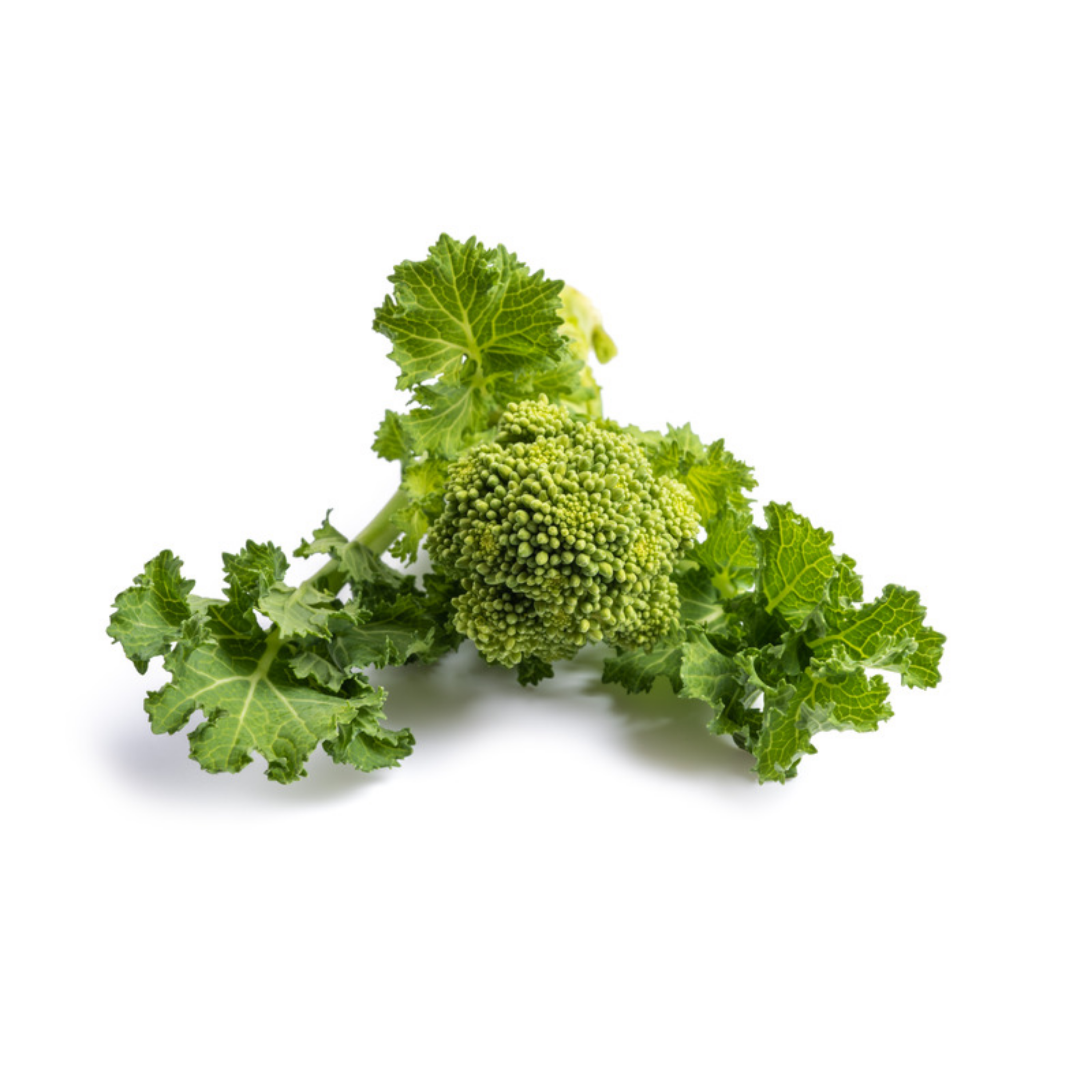 Rübstiel: Das zarte Frühlingsgemüse, das (noch) keiner kennt