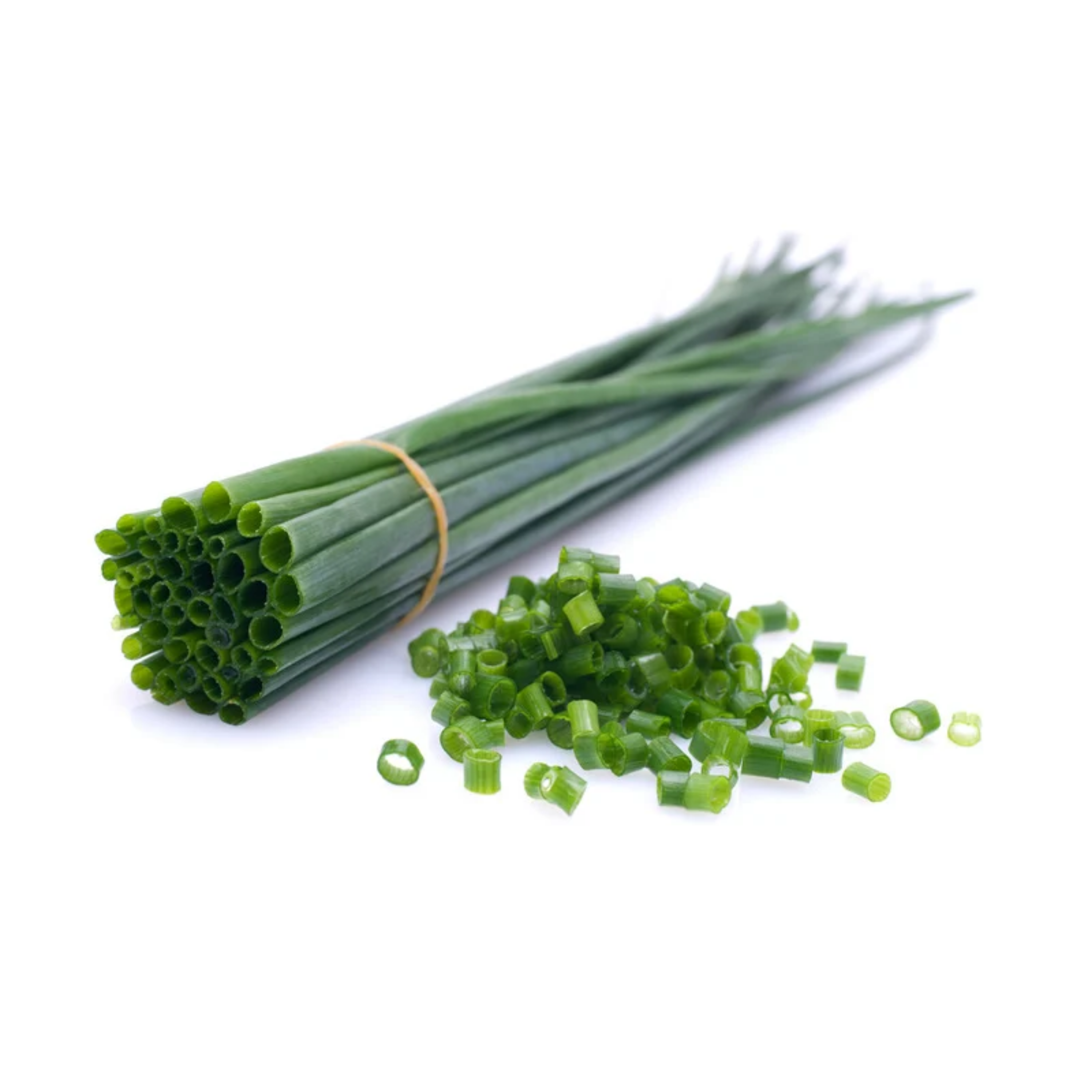 Schnittlauch: Der grüne Frische-Kick vom Fensterbrett