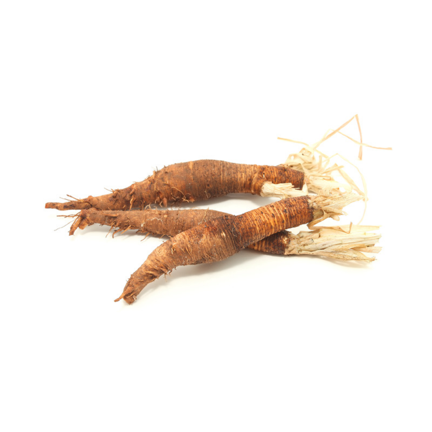 Schwarzwurzel: Der verkannte "Winterspargel" mit der harten Schale