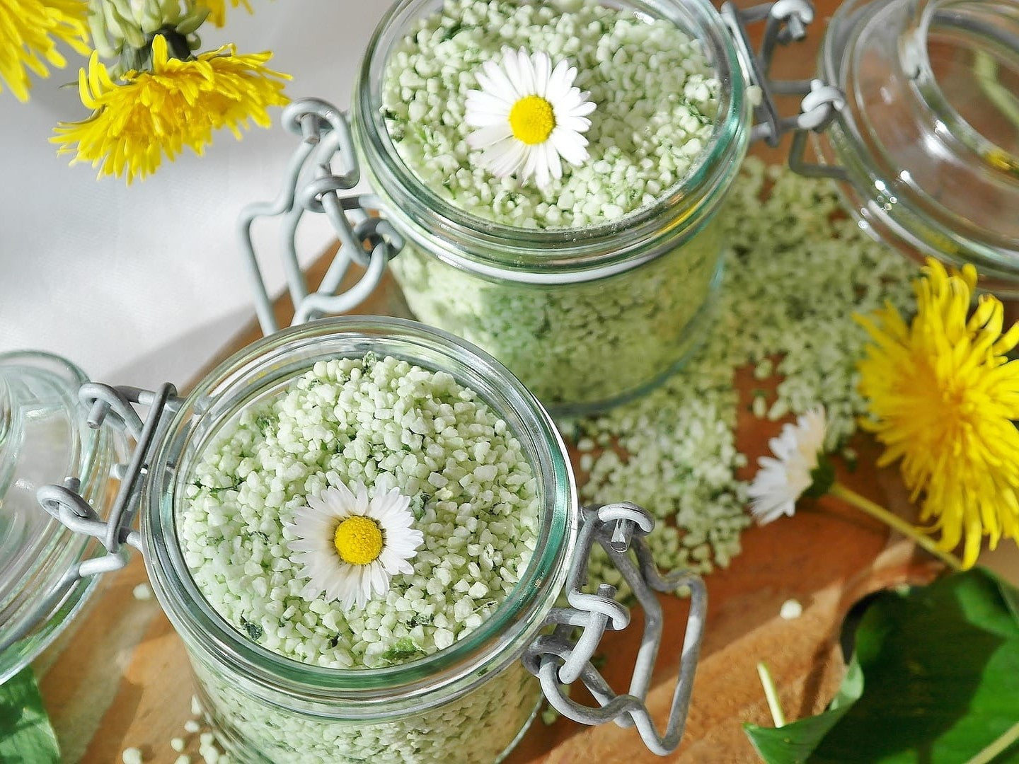 DON`T SAY GARLIC Dörrautomat  Rezepte Das aromatische Bärlauchsalz