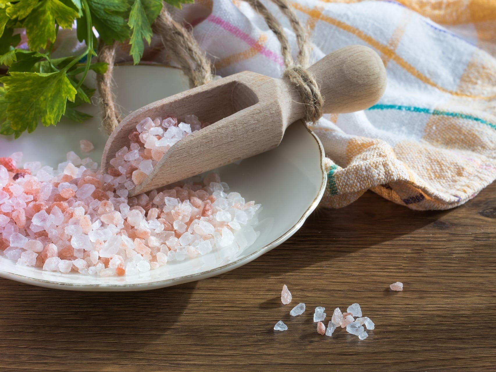 HOT IN THE CITY  Dörrautomat  Rezepte Das Himalaya Salz mit dem besonderem Pfiff
