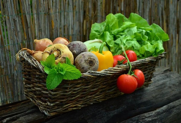 ▷ Welches Gemüse ist für den Slow Juicer geeignet? Die Top 12 Gemüse zum Entsaften